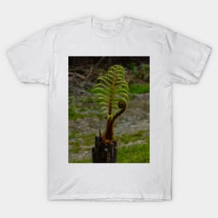 The Tree Fern T-Shirt